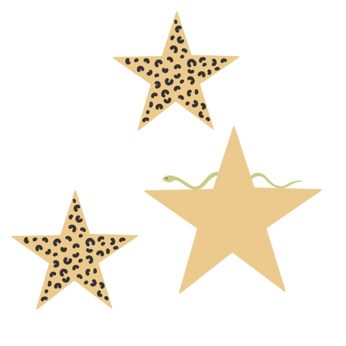 Ayşem Kandıralı Güneş Mutlu Icon 03