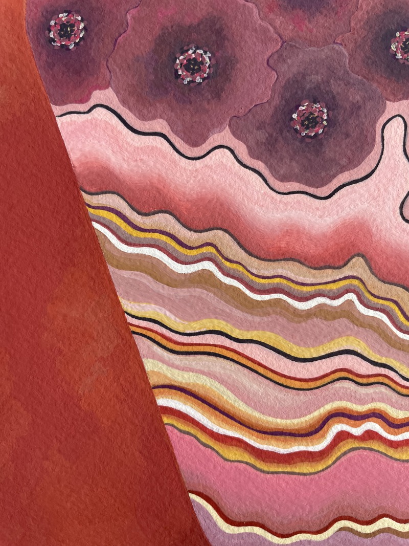 Ayşem Kandıralı - Elevated - Canyon