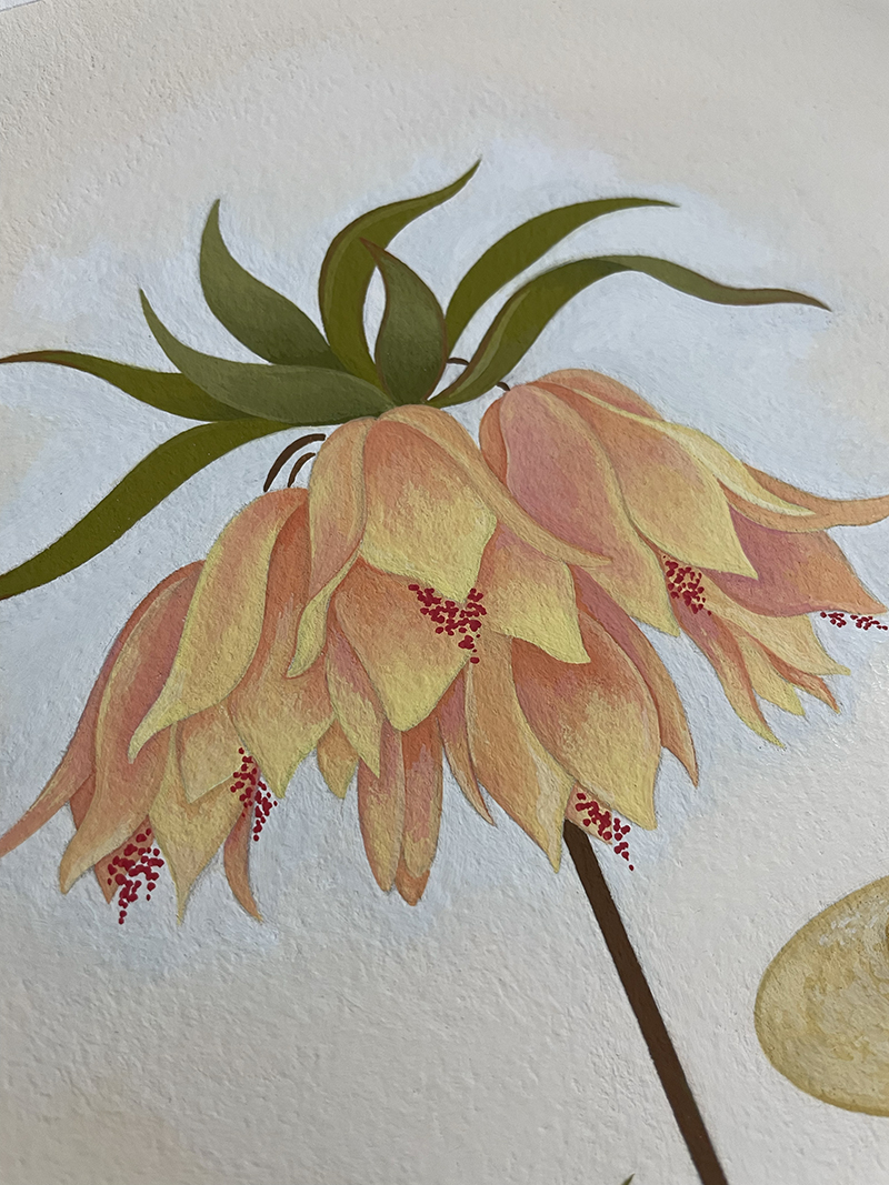 Ayşem Kandıralı - Hide Out