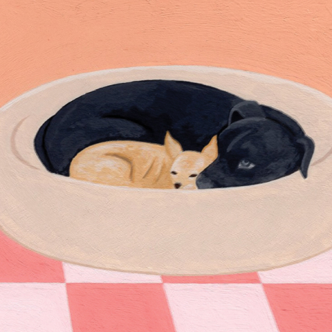 Ayşem Kandıralı - Berfe Tümen