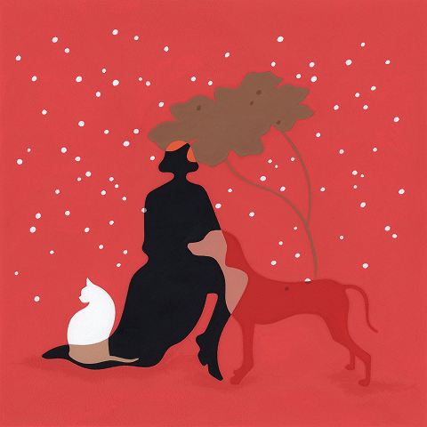 Ayşem Kandıralı - Konfida 2026